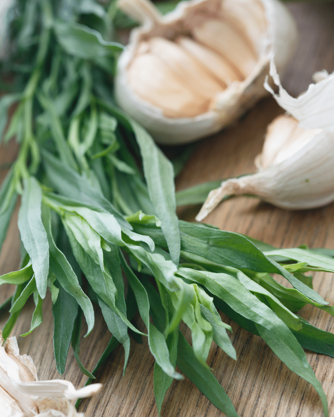 Tarragon